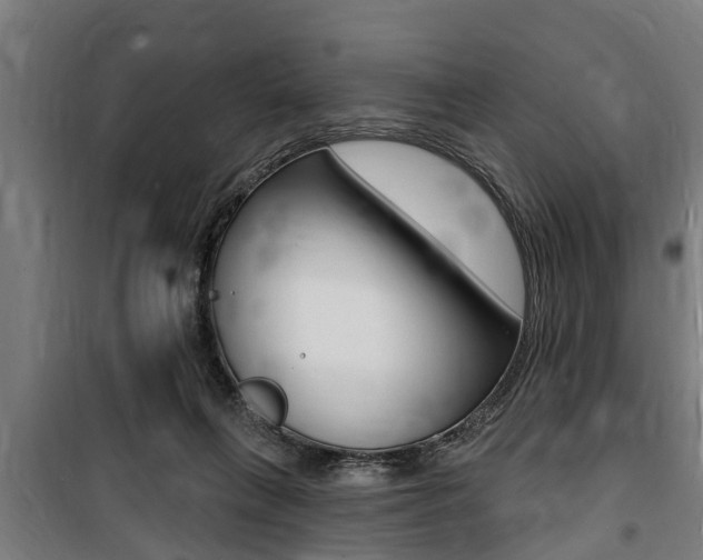 X0000100840263200806200745