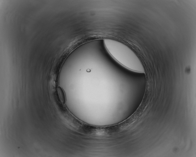 X0000100840264200806200745