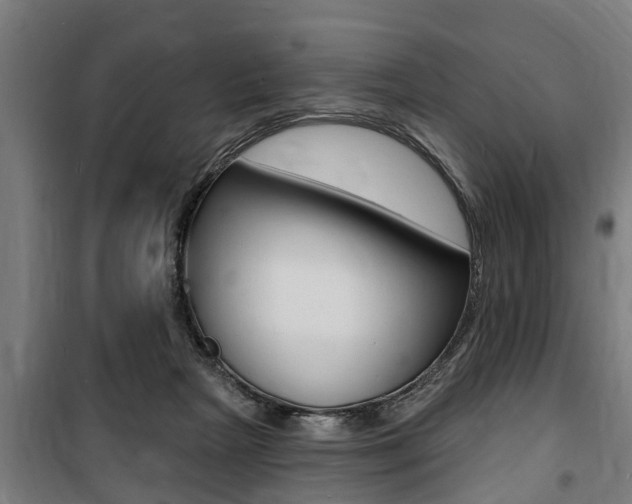 X0000100840265200806200745