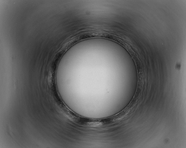 X0000100840266200806200745