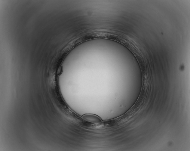 X0000100840267200806200745