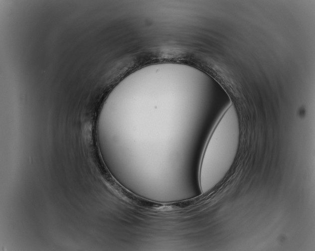 X0000100840269200806200745