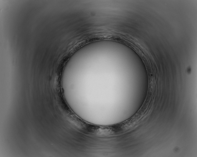 X0000100840270200806200745