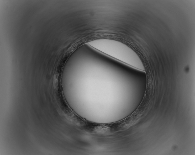 X0000100840271200806200745