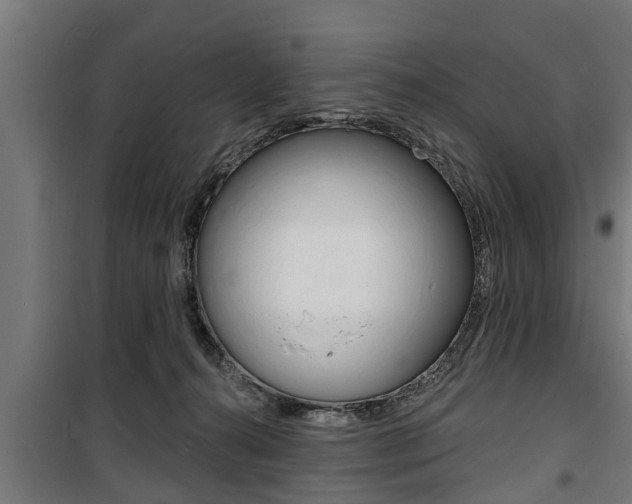 X0000100840272200806200745