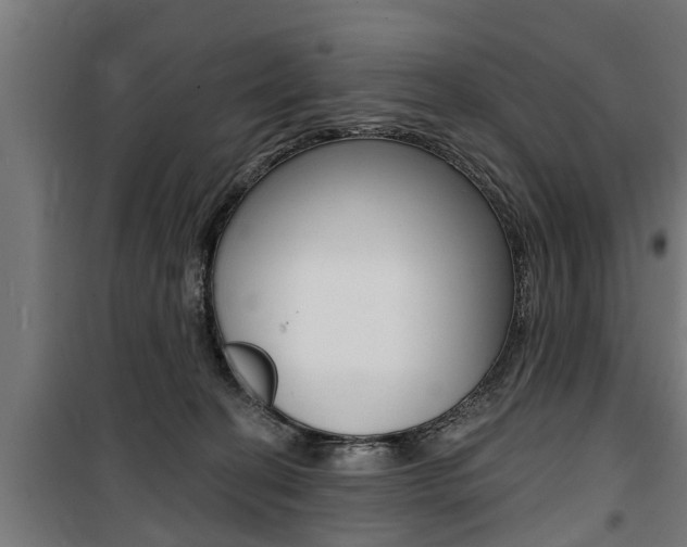 X0000100840274200806200745