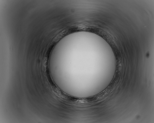 X0000100840275200806200745