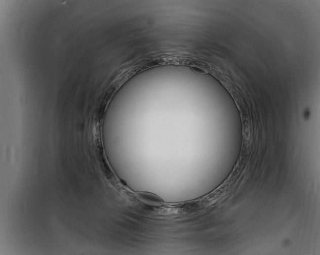 X0000100840276200806200745