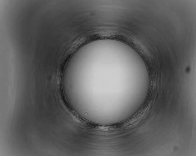 X0000100840277200806200745