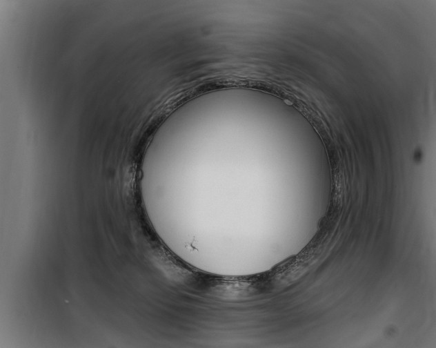 X0000100840278200806200745