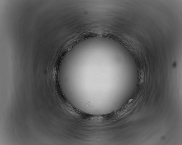 X0000100840279200806200745