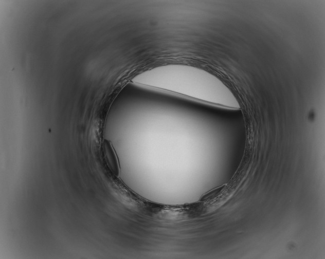 X0000100840280200806200745