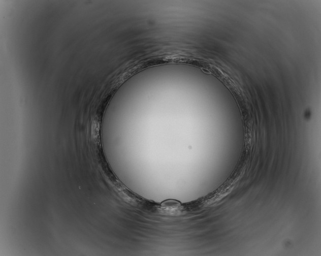 X0000100840281200806200745