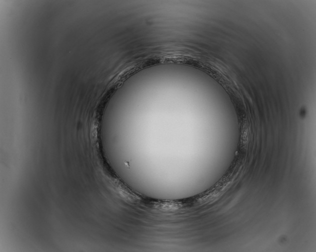 X0000100840282200806200745