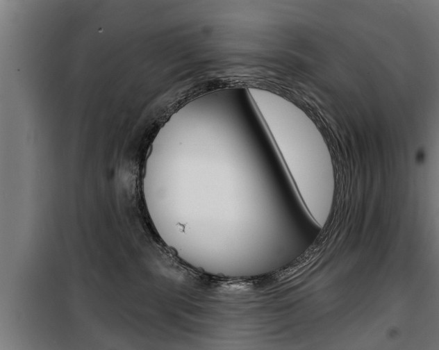 X0000100840283200806200745