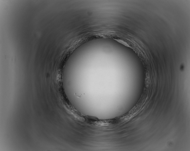 X0000100840284200806200745