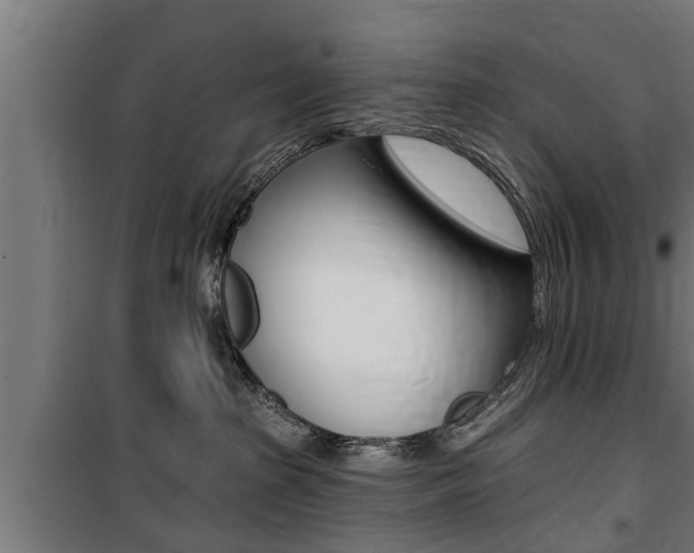 X0000100840285200806200745