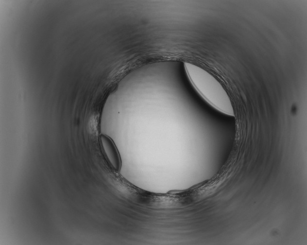 X0000100840286200806200745