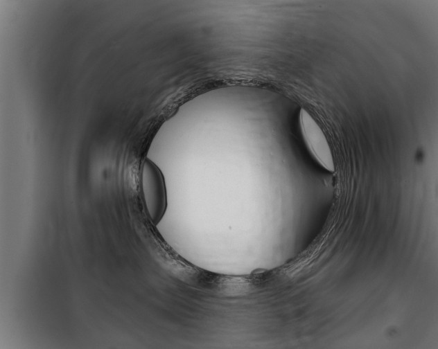 X0000100840287200806200745