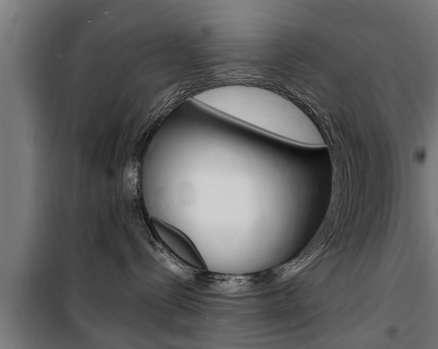 X0000100840288200806200745