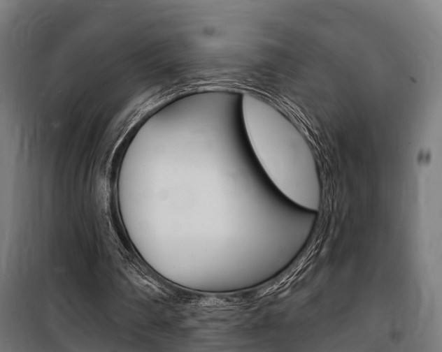 X0000100840290200806200745