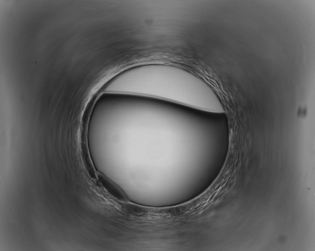 X0000100840292200806200744