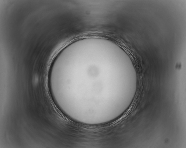 X0000100840293200806200744