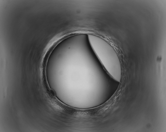 X0000100840296200806200744