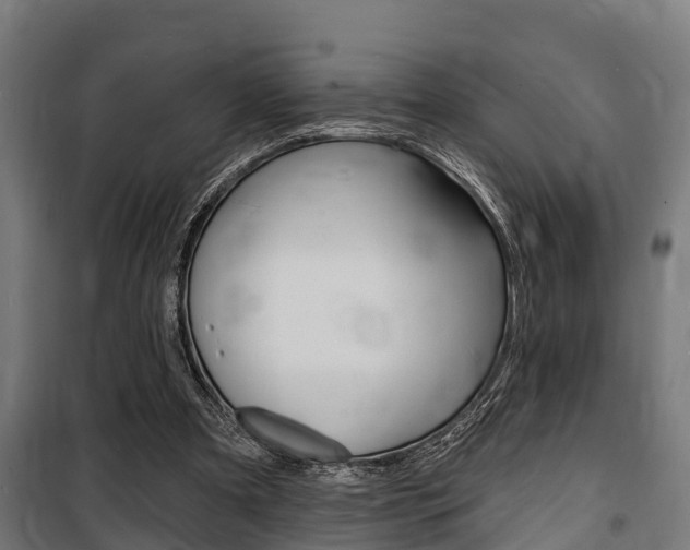 X0000100840297200806200744