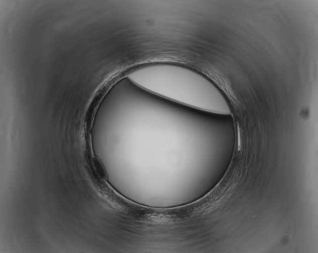 X0000100840300200806200744