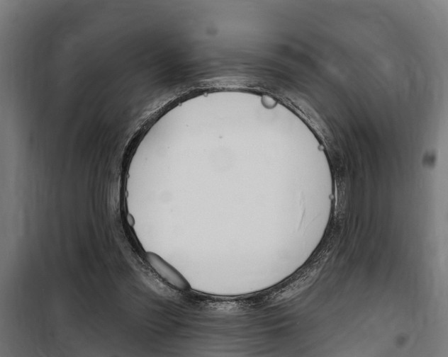 X0000100840301200806200744