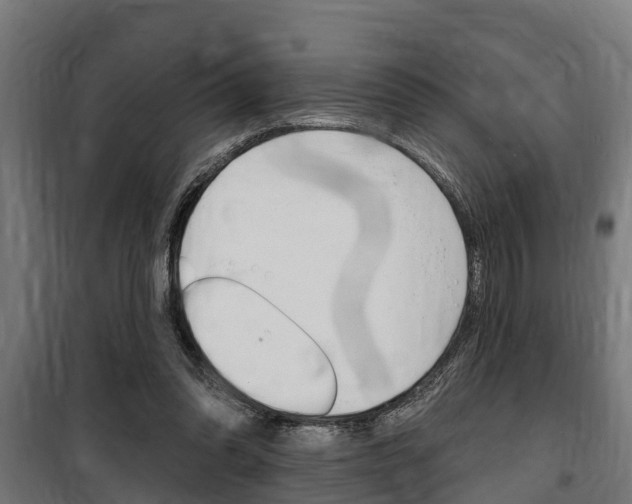 X0000100840302200806200744