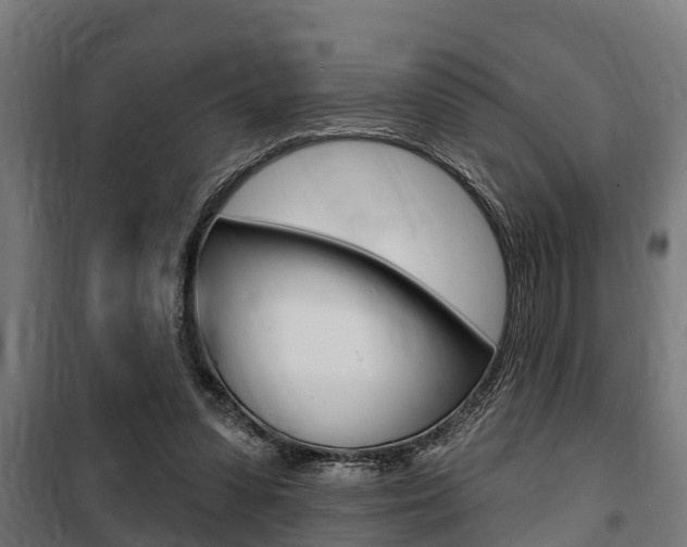 X0000100840303200806200744