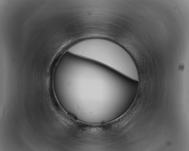 X0000100840304200806200744