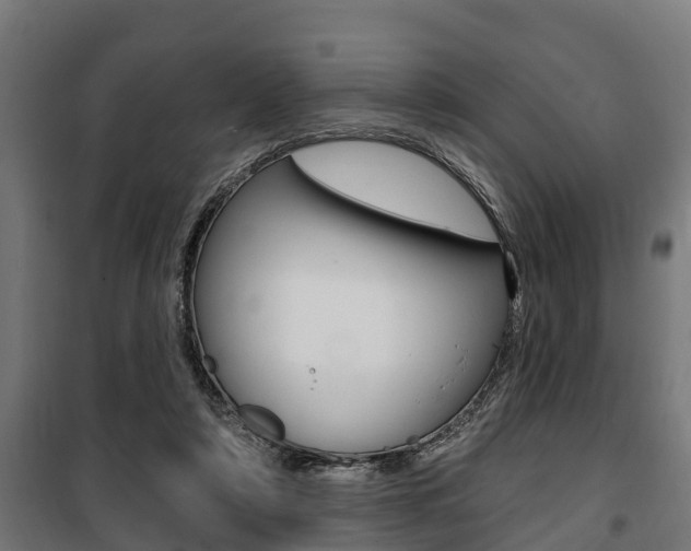 X0000100840306200806200744