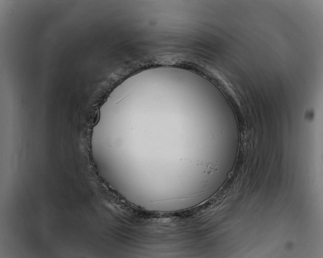 X0000100840307200806200744