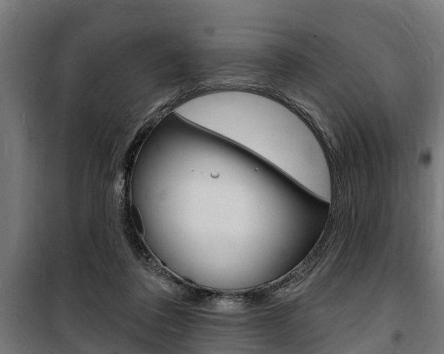 X0000100840308200806200744