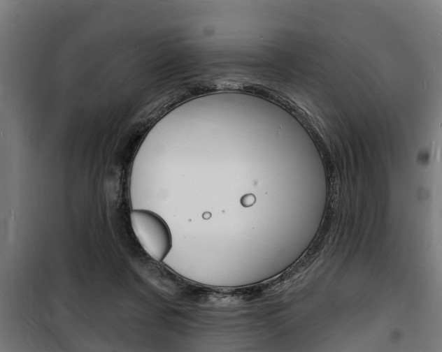 X0000100840311200806200744