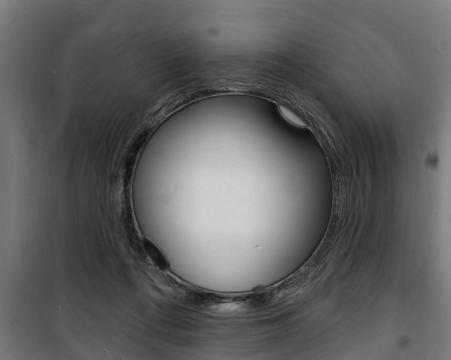 X0000100840312200806200744