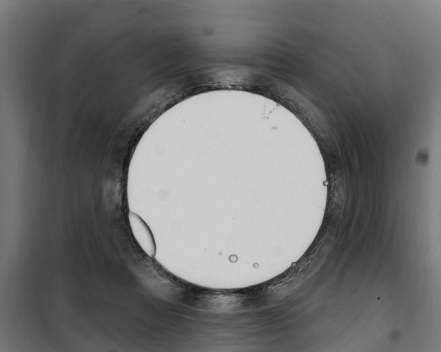 X0000100840313200806200744