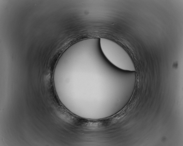 X0000100840314200806200744