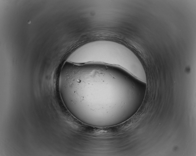 X0000100840315200806200744