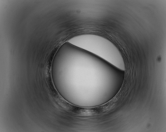 X0000100840316200806200744