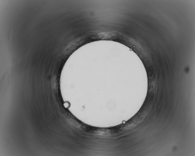 X0000100840317200806200744