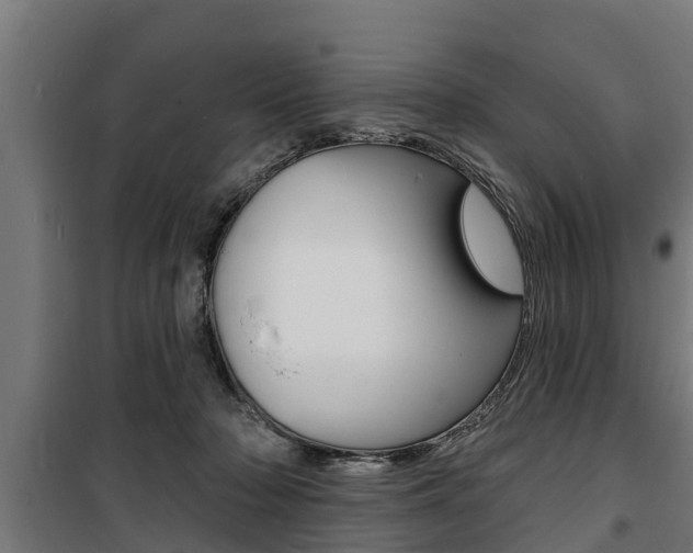 X0000100840318200806200744