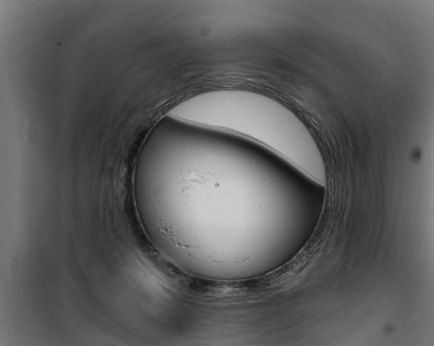 X0000100840319200806200744