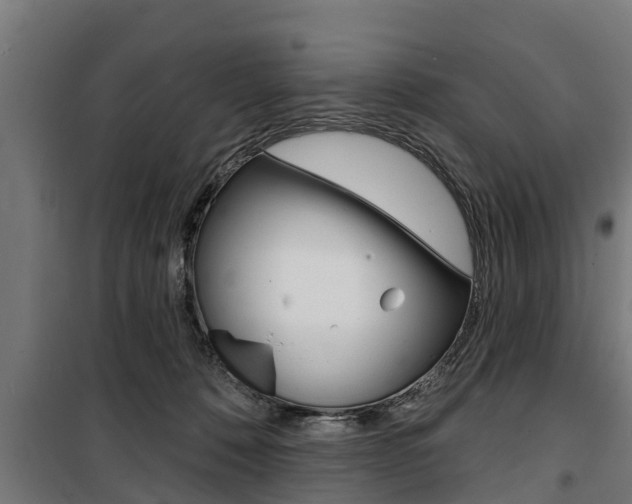 X0000100840320200806200744