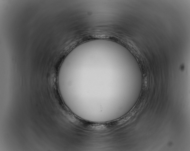 X0000100840322200806200744