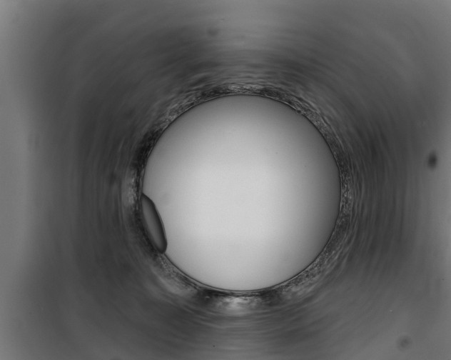 X0000100840323200806200744