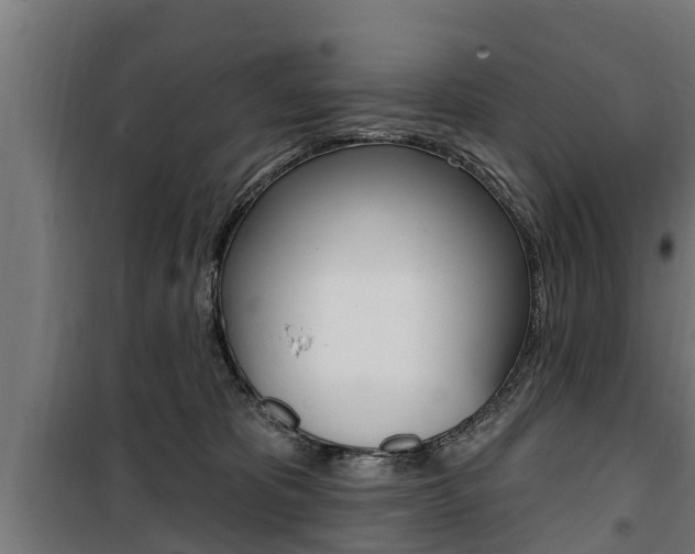 X0000100840325200806200744